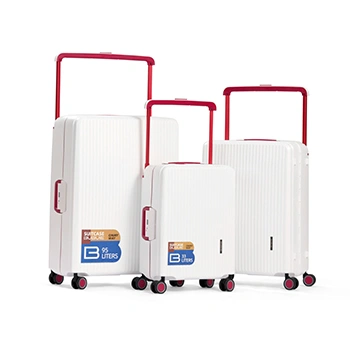 Check-In Luggage