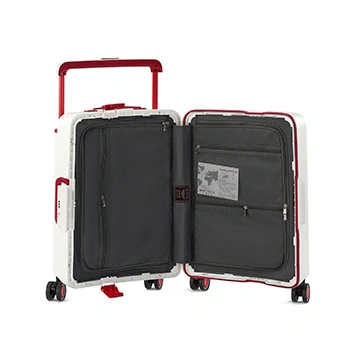 Check-In Luggage