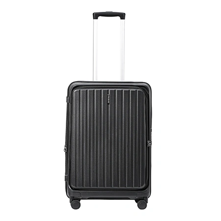 Check-In Luggage
