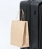 Expandable Check-In Luggage