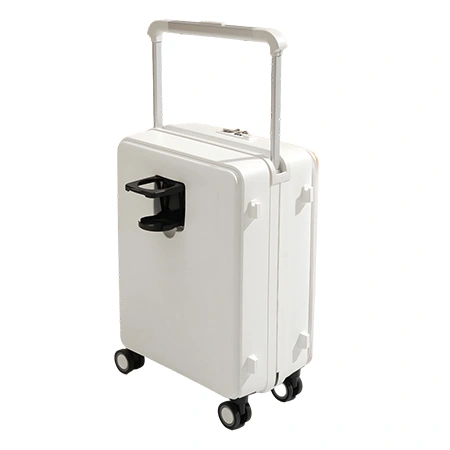 Check-In Luggage