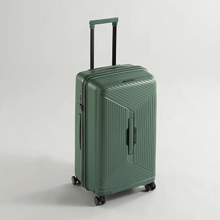 Check-In Luggage