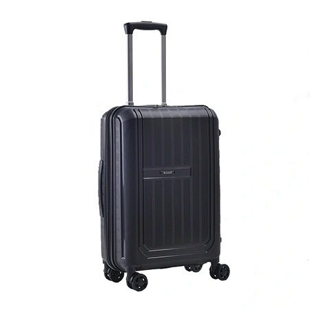 Check-In Luggage
