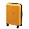 Zipper Check-In Luggage
