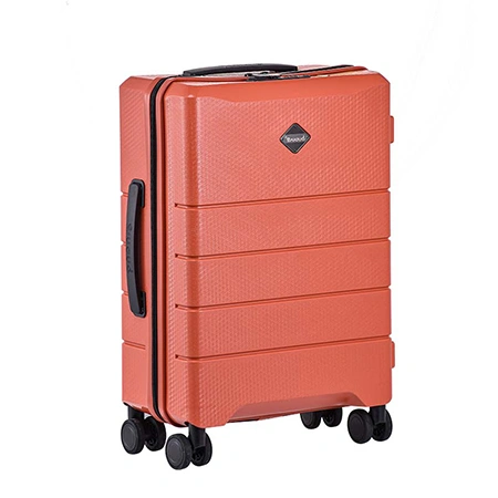 Check-In Luggage