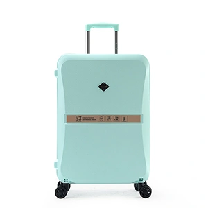 Check-In Luggage