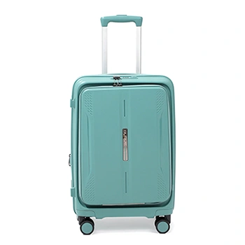 Check-In Luggage