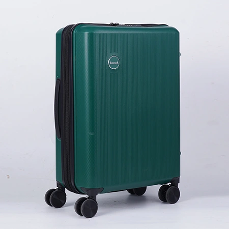 Check-In Luggage