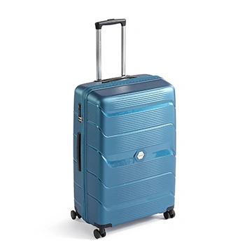 Check-In Luggage