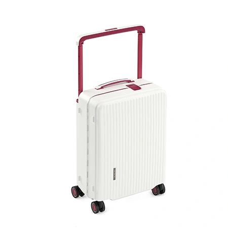 Check-In Luggage
