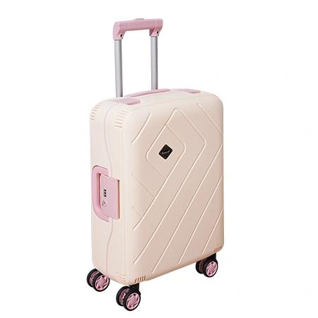 Check-In Luggage