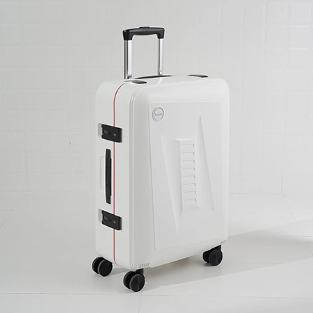 Check-In Luggage
