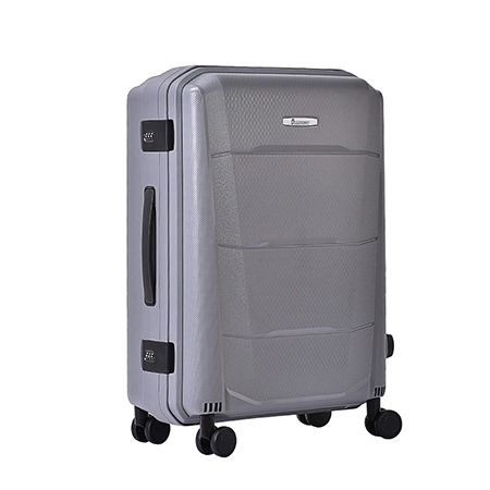 Check-In Luggage