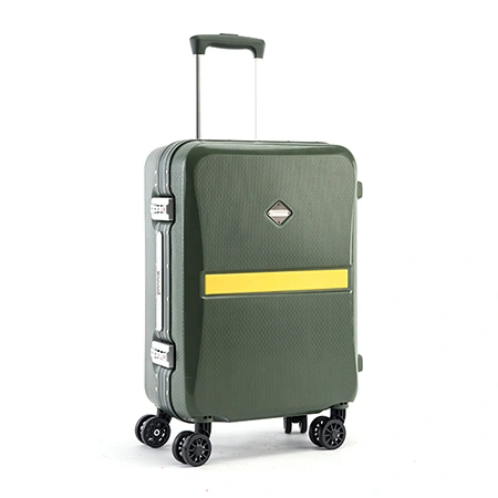 Check-In Luggage