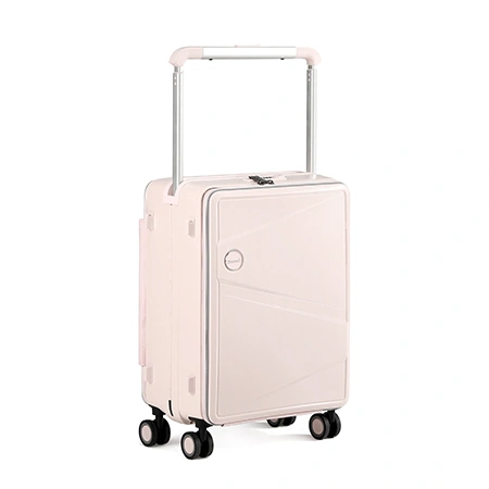 Check-In Luggage