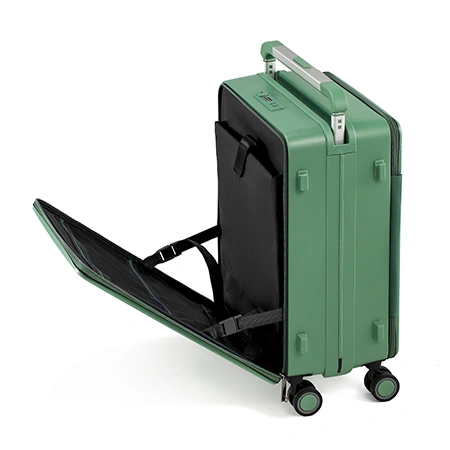 Check-In Luggage