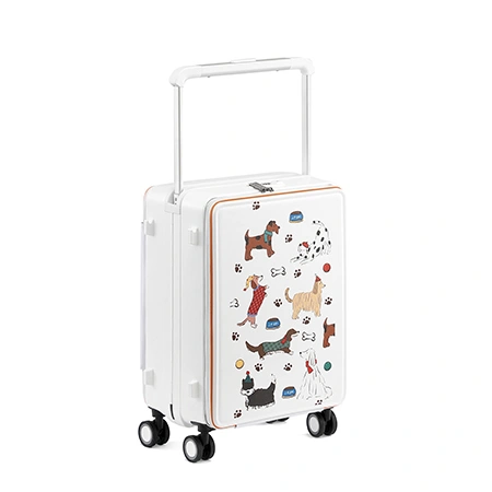 Check-In Luggage