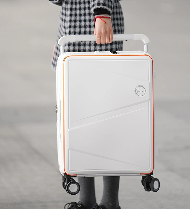 Check-In Luggage