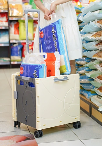 Supermarket shopping