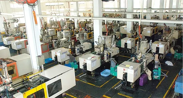 Company Profile