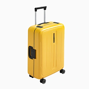 Check-In Luggage