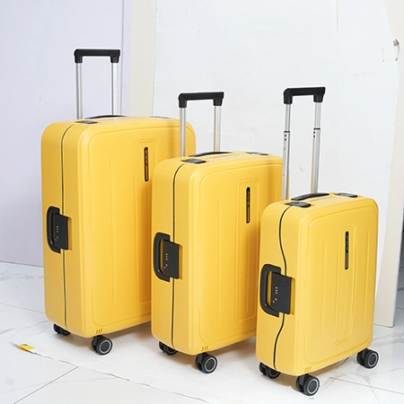 Check-In Luggage