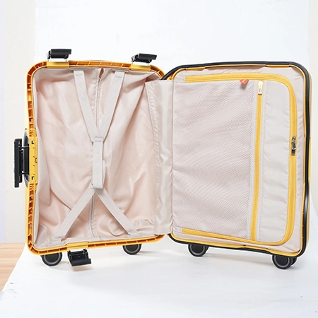 Check-In Luggage