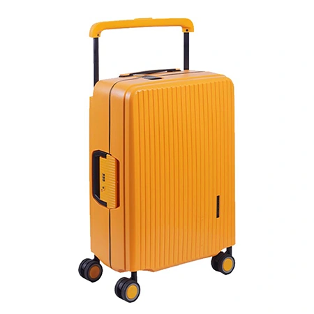 Check-In Luggage