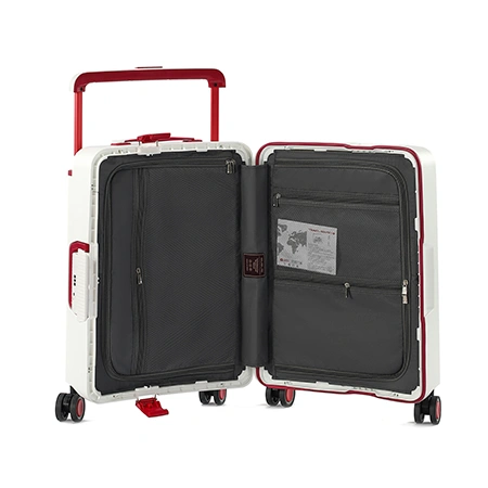 Check-In Luggage
