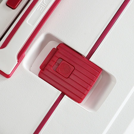 Check-In Luggage