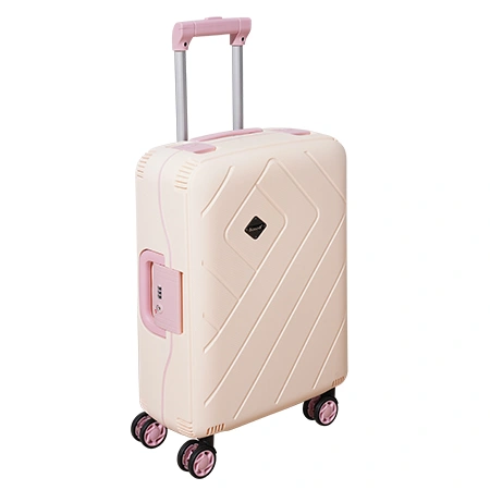 Check-In Luggage