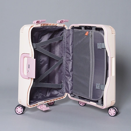 Check-In Luggage