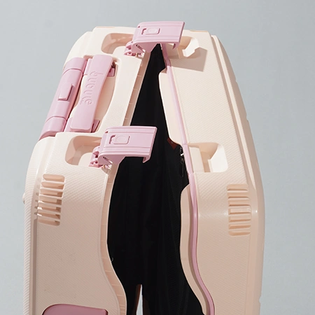 Check-In Luggage