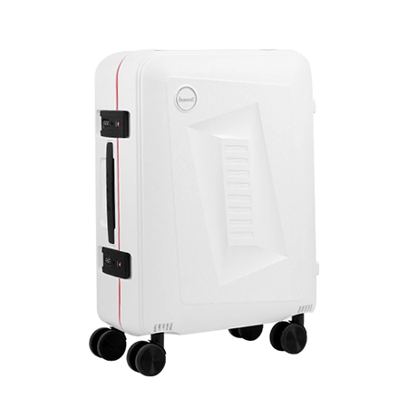 Check-In Luggage