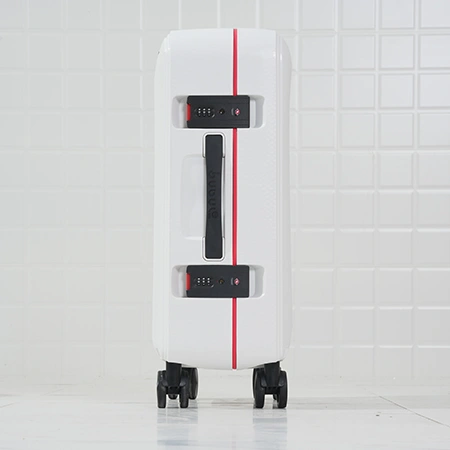 Check-In Luggage