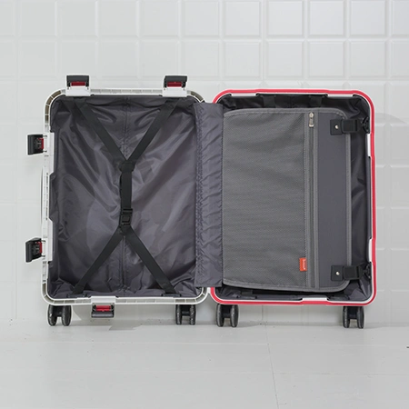 Check-In Luggage