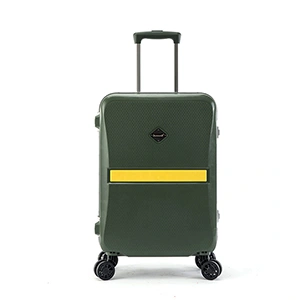 Check-In Luggage