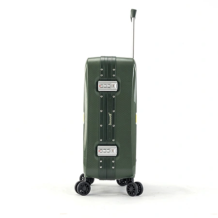 Check-In Luggage