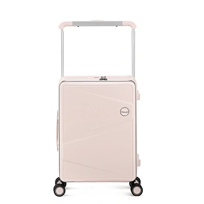 Check-In Luggage