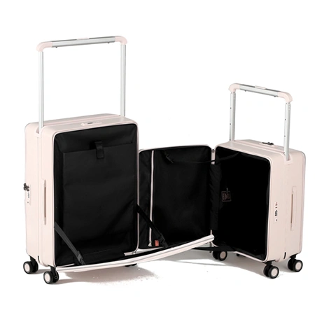 Check-In Luggage