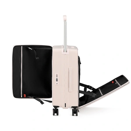 Check-In Luggage
