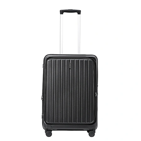 Check-In Luggage