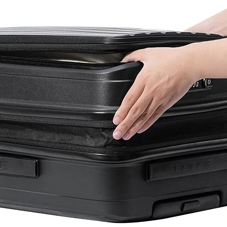 Check-In Luggage