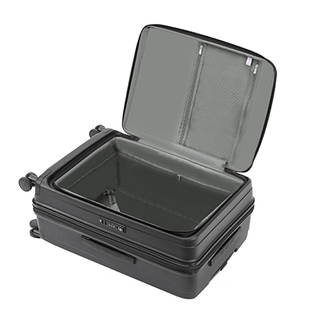 Check-In Luggage
