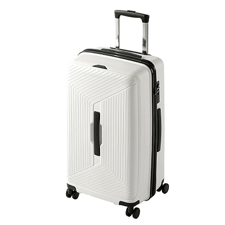 Check-In Luggage