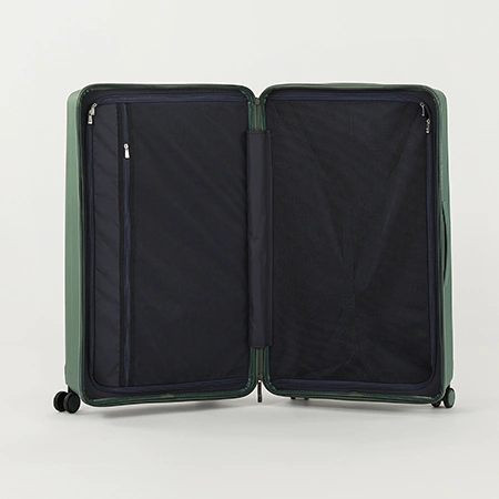 Check-In Luggage