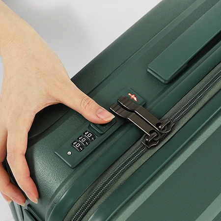 Check-In Luggage