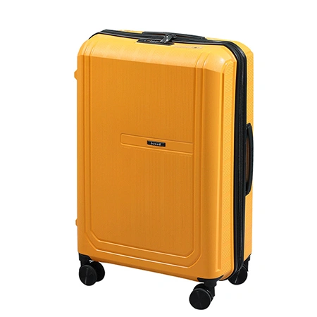 Check-In Luggage