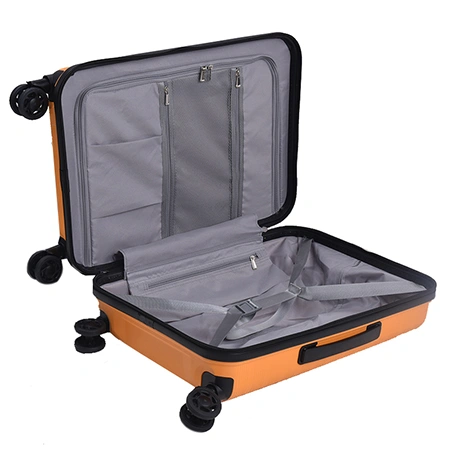 Check-In Luggage