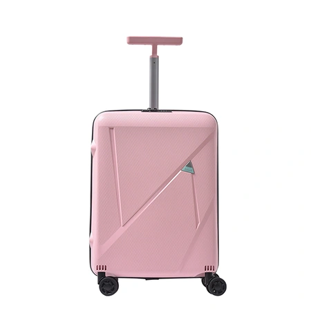 Check-In Luggage